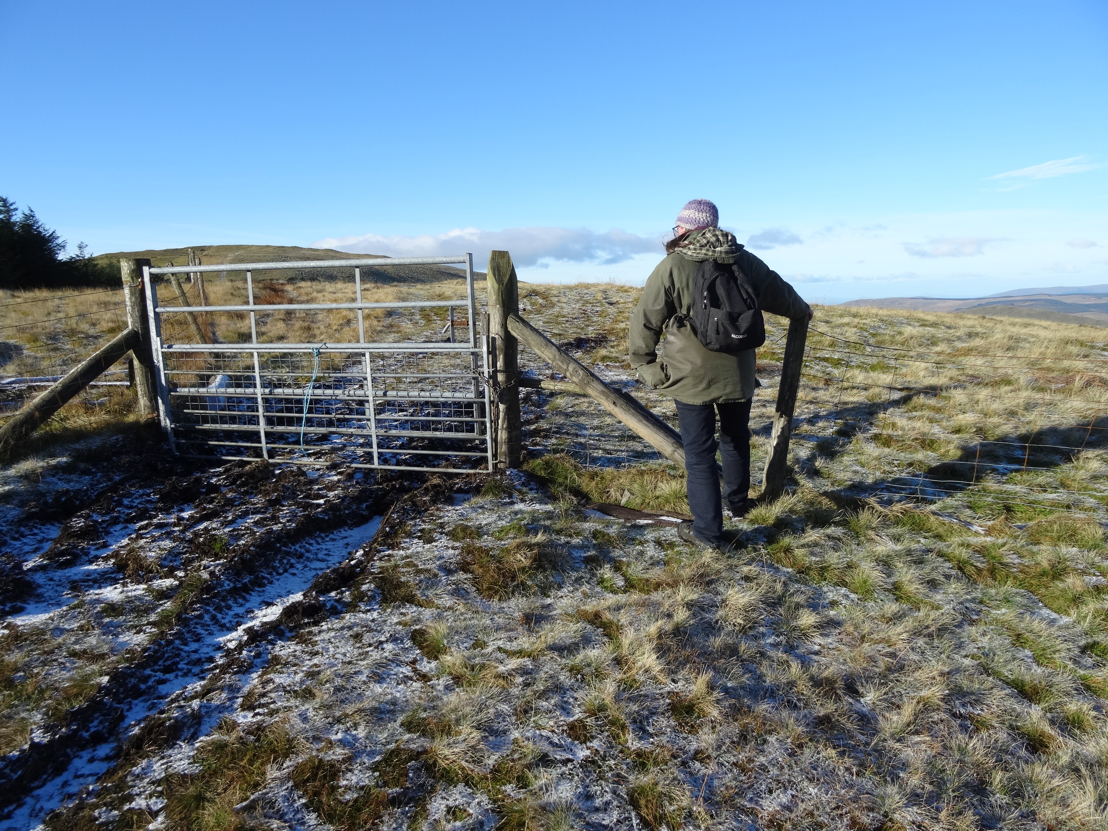 RachelSeabrook.net | Wild Walking | Y Garn & Pumlumon | pic05D
